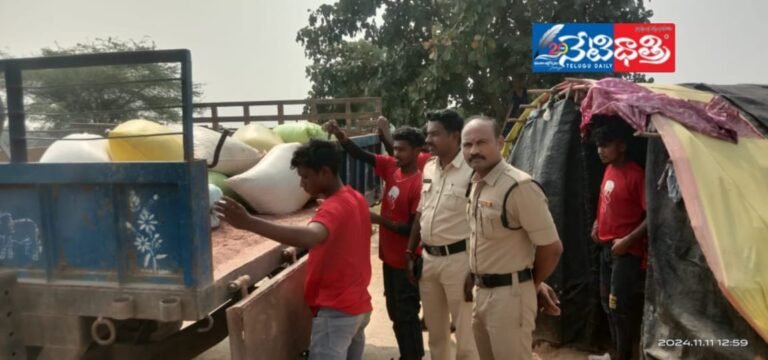 WhatsApp Image 2024-11-11 at 4.05.24 PM