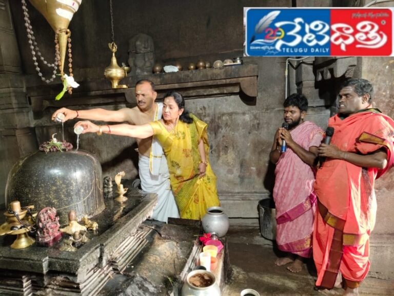 WhatsApp Image 2024-11-11 at 4.09.59 PM