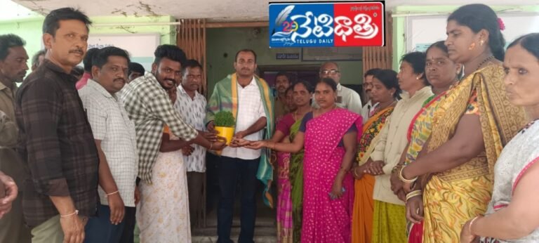 WhatsApp Image 2024-11-11 at 4.38.40 PM