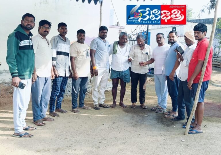 WhatsApp Image 2024-11-12 at 12.44.12 PM