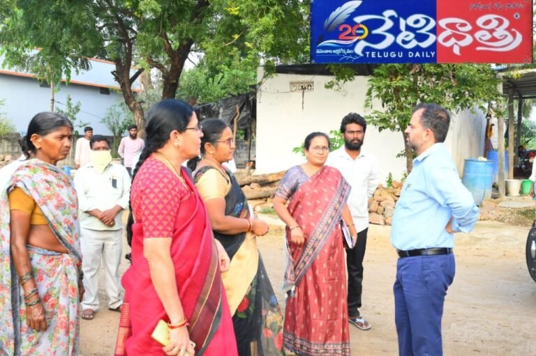 WhatsApp Image 2024-11-12 at 5.06.53 PM