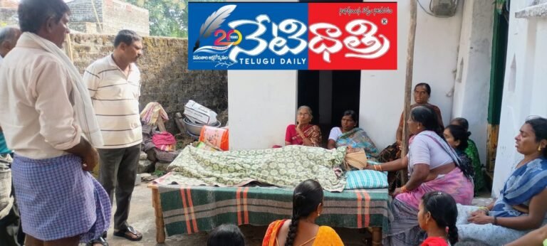 WhatsApp Image 2024-11-12 at 5.12.59 PM