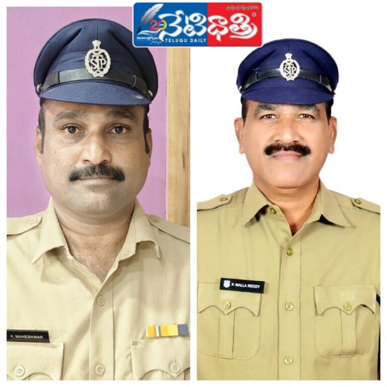 WhatsApp Image 2024-11-12 at 6.12.59 PM (1)