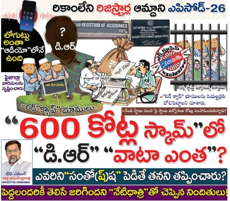 WhatsApp Image 2024-11-13 at 5.28.30 PM