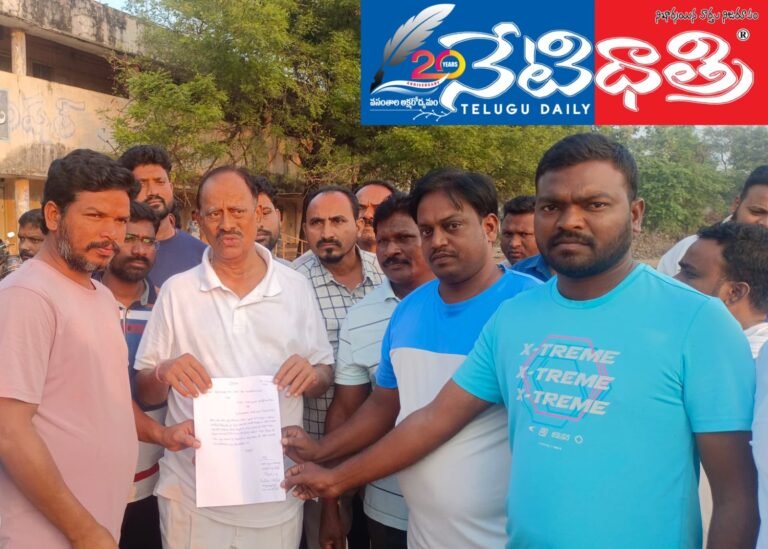 WhatsApp Image 2024-11-14 at 2.31.35 PM