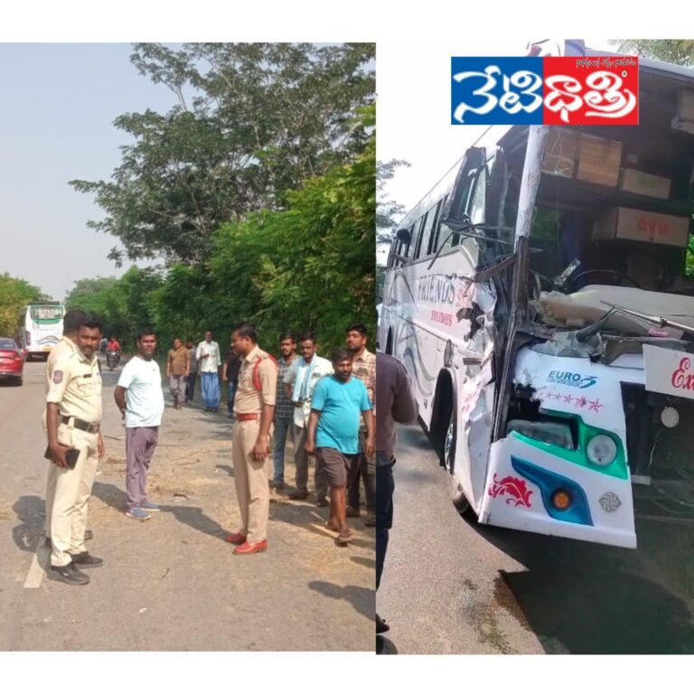 WhatsApp Image 2024-11-16 at 2.36.12 PM