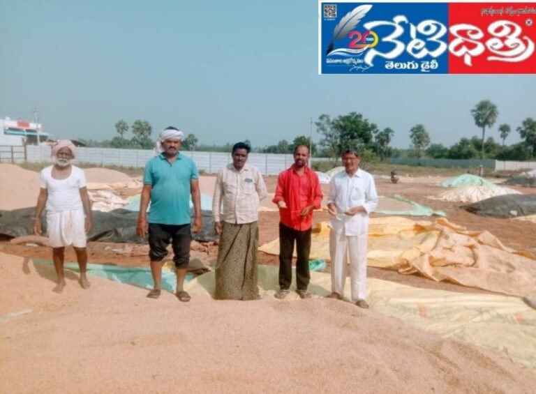 WhatsApp Image 2024-11-18 at 10.38.26 AM