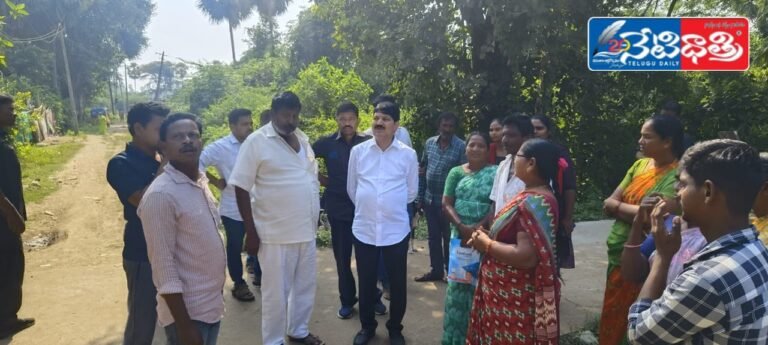 WhatsApp Image 2024-11-18 at 2.18.00 PM