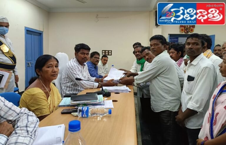 WhatsApp Image 2024-11-18 at 2.27.41 PM