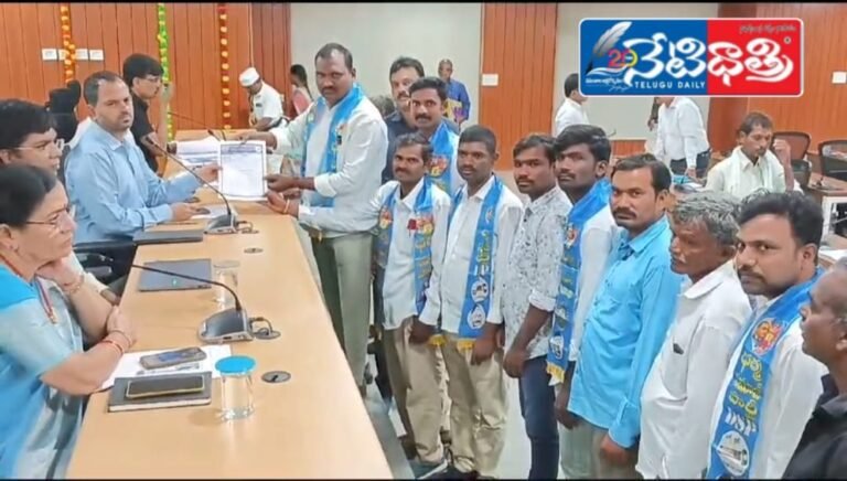 WhatsApp Image 2024-11-18 at 3.45.52 PM