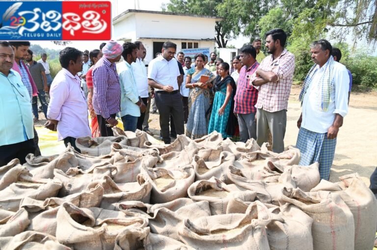 WhatsApp Image 2024-11-19 at 5.37.41 PM