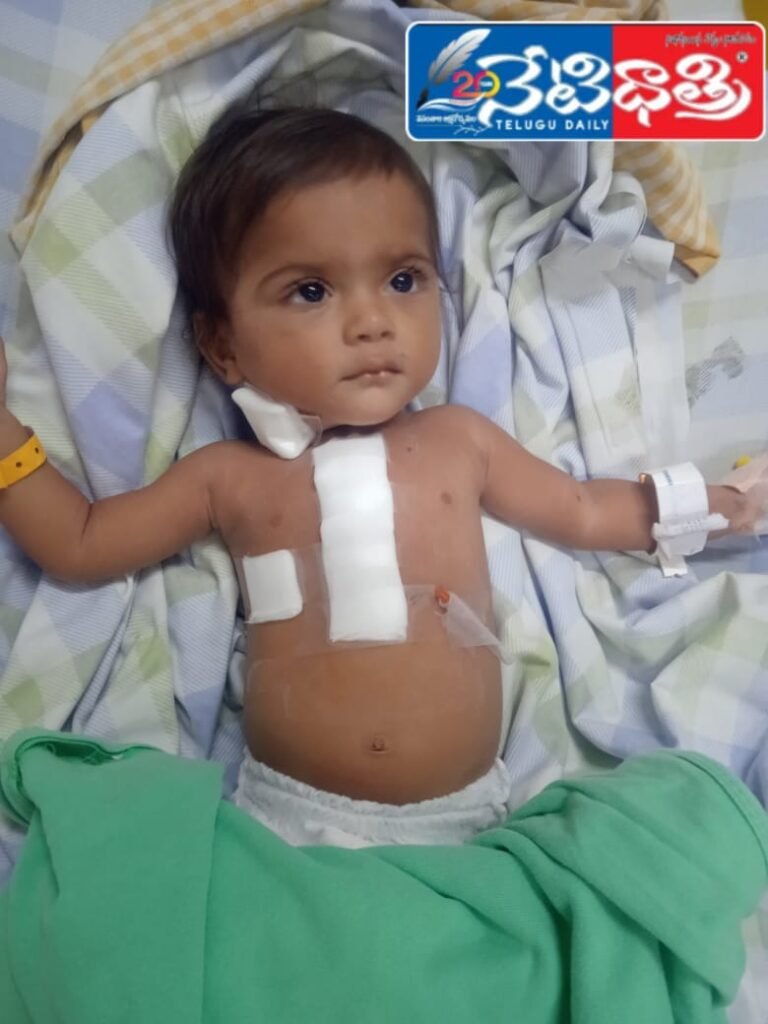 WhatsApp Image 2024-11-21 at 5.22.00 PM
