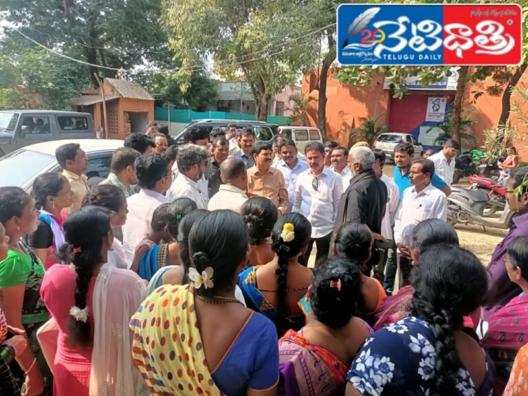 WhatsApp Image 2024-12-07 at 2.56.19 PM