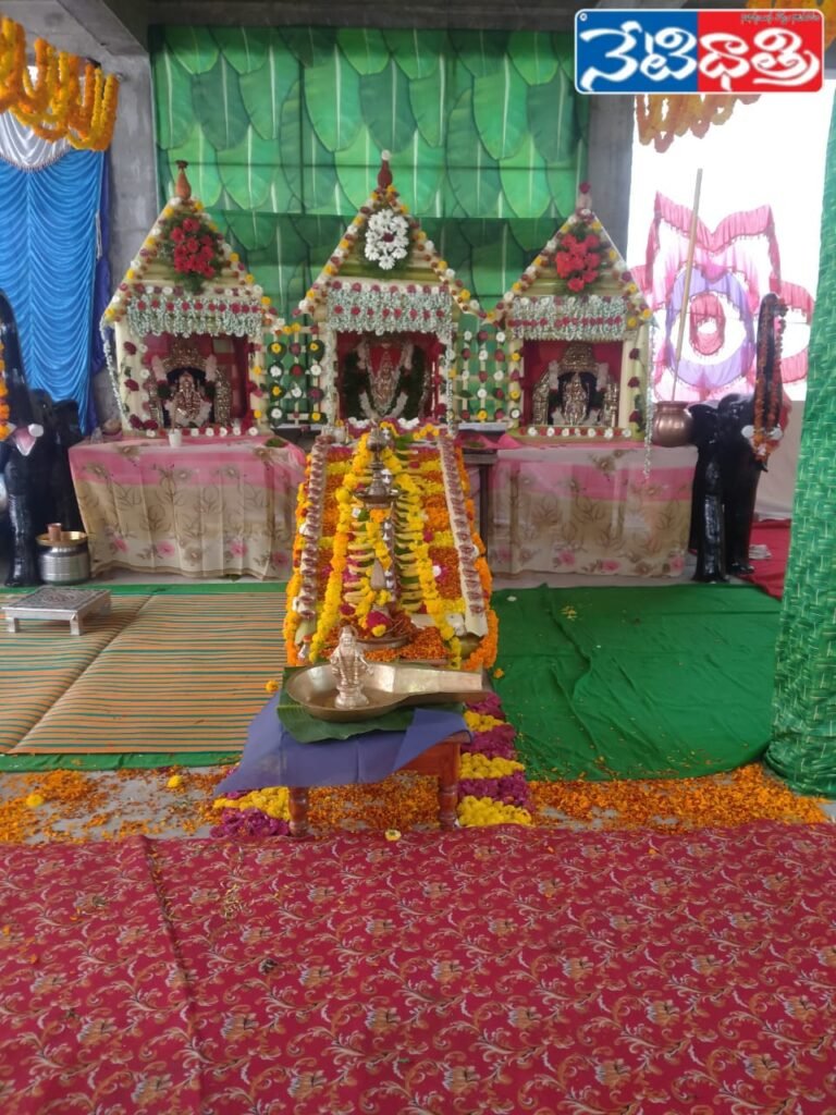 WhatsApp Image 2024-12-11 at 2.01.04 PM