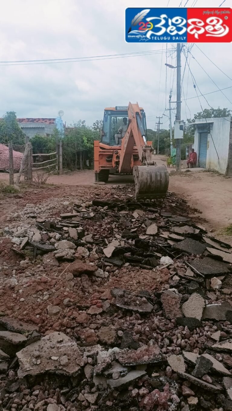 WhatsApp Image 2024-12-25 at 4.41.18 PM