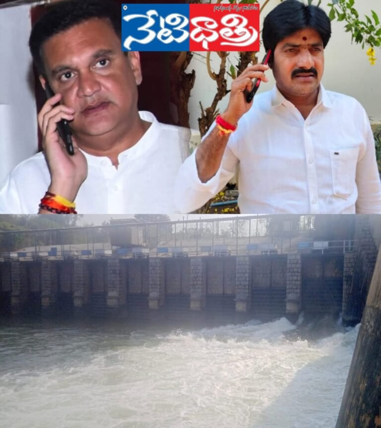 WhatsApp Image 2025-01-08 at 2.47.09 PM