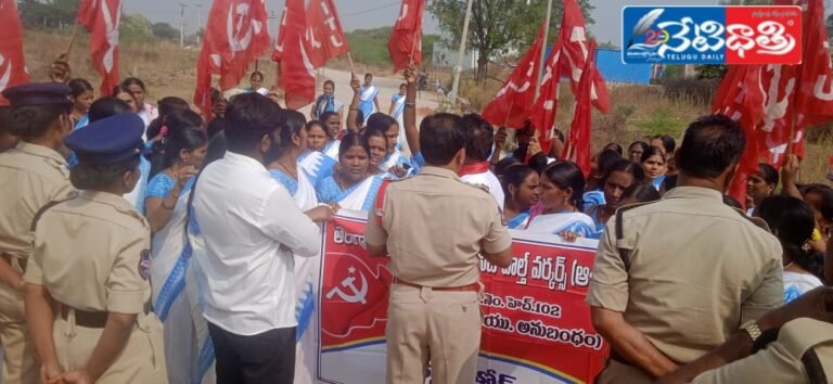WhatsApp Image 2025-01-10 at 3.37.03 PM