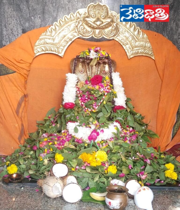 WhatsApp Image 2025-01-13 at 5.33.00 PM
