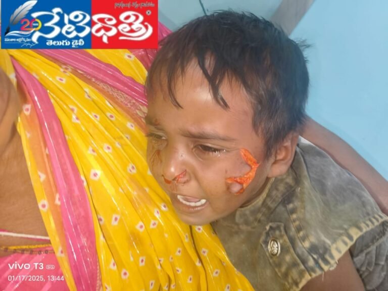 WhatsApp Image 2025-01-20 at 2.28.20 PM
