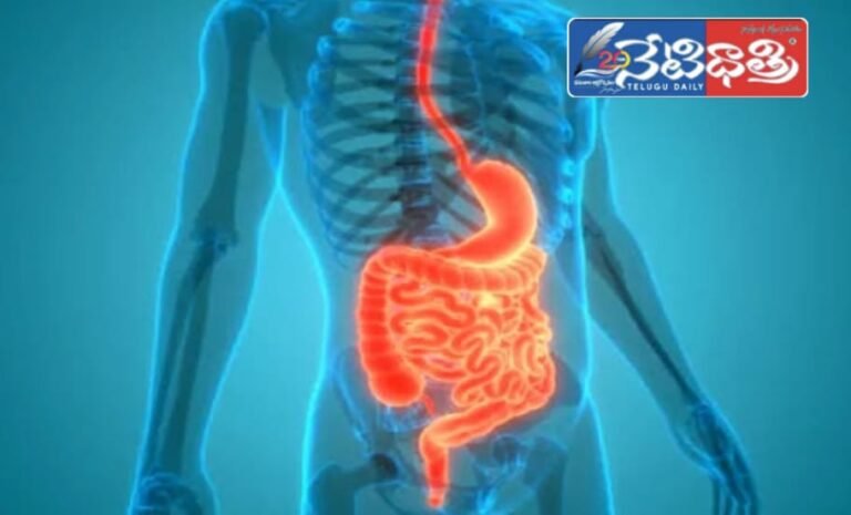 digestive health