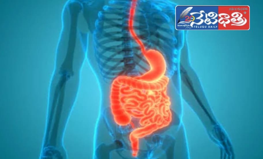 జీర్ణ ఆరోగ్యం కాపాడుకోవడానికి ఆయుర్వేద చిట్కాలు.!