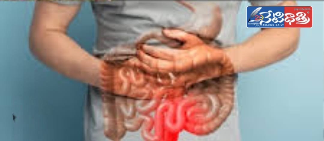 digestive health