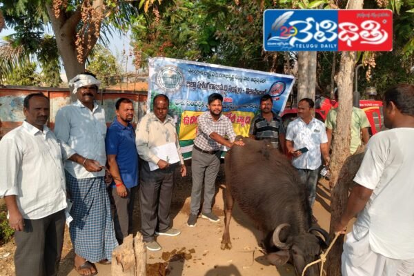 Free Cattle Cervical Treatment Camp