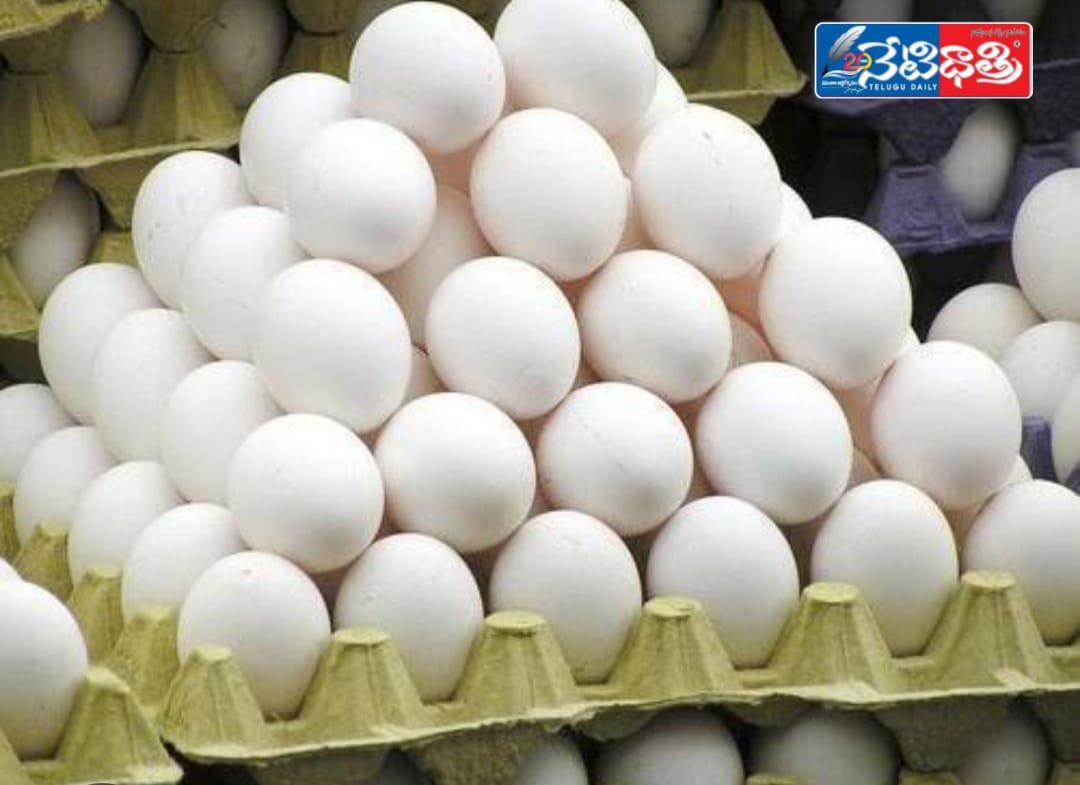 chicken-and-egg-prices-have-fallen-sharply