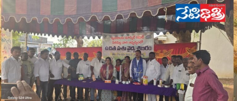 Medical camp