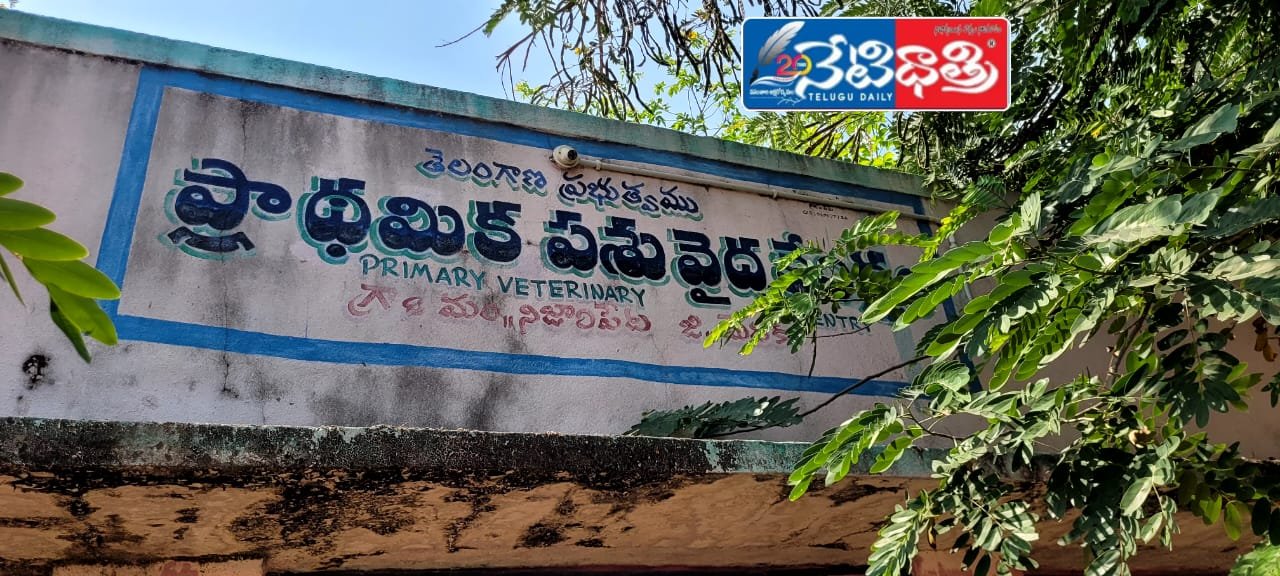 Locked veterinary center,