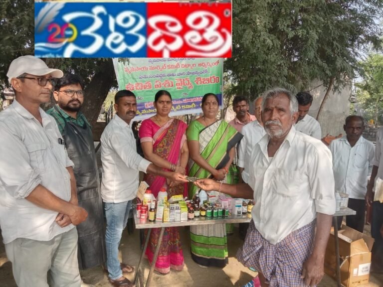 Chityala Market
