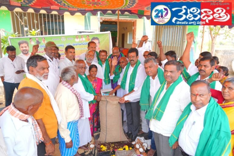 Paddy procurement centers opened
