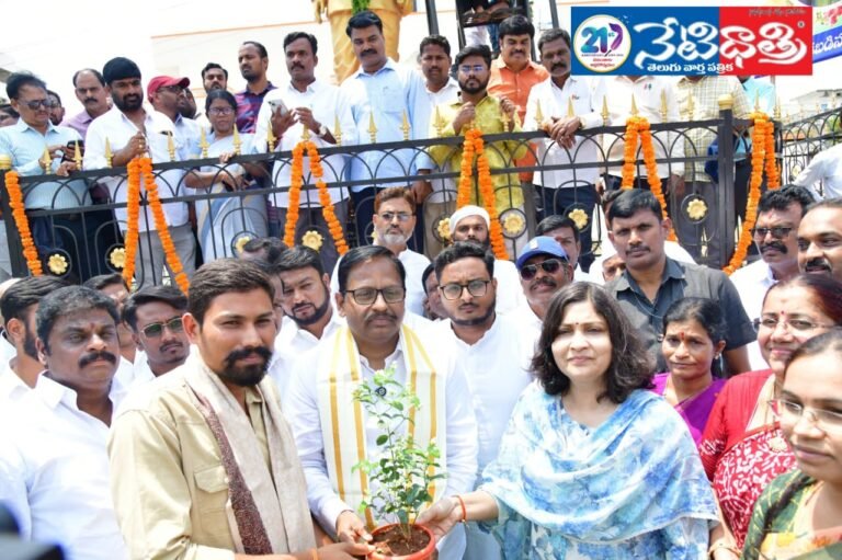MLA