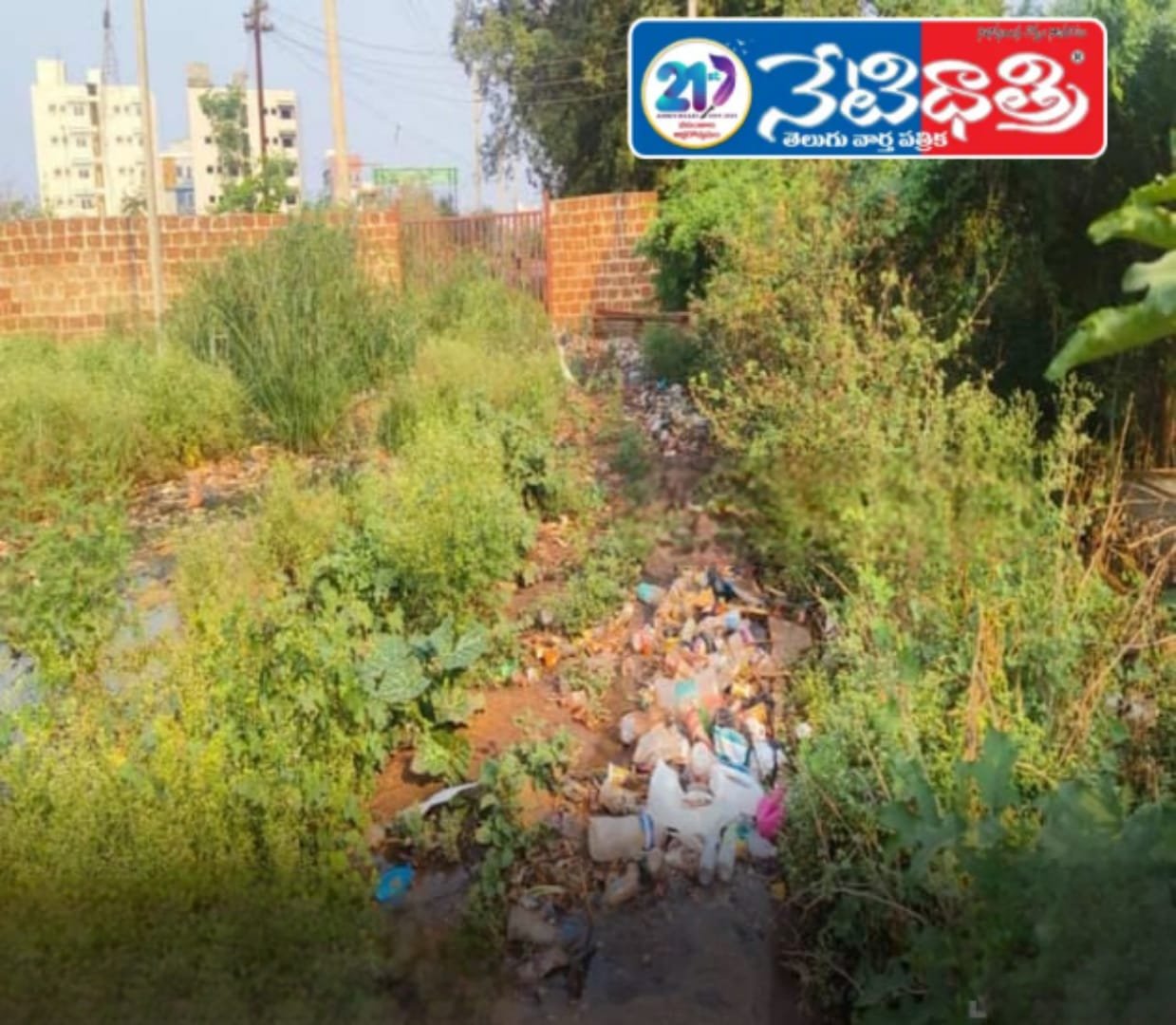 చెత్తను తొలగించండి సారూ..!