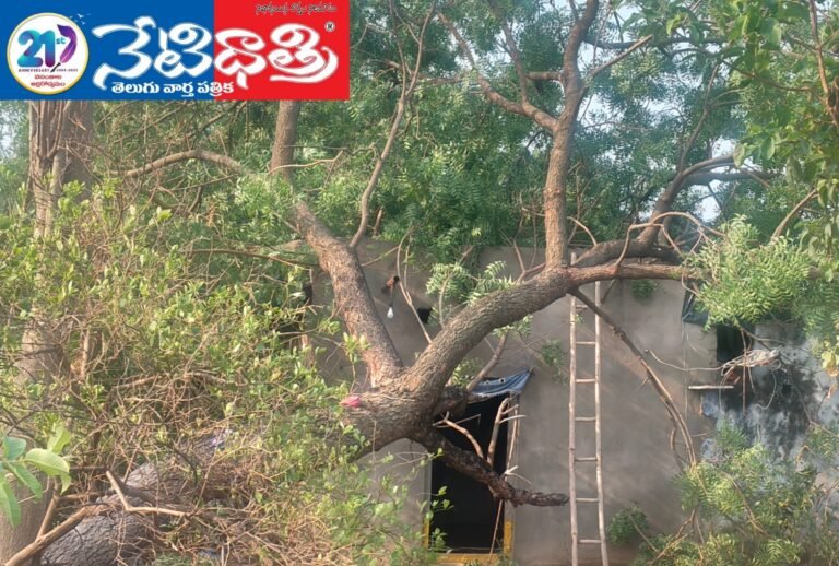 Farmers are waiting for untimely rain