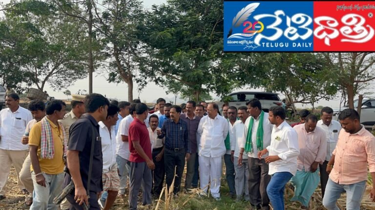 దెబ్బతిన్న పంటలను పరిశీలించిన ఎమ్మెల్యే