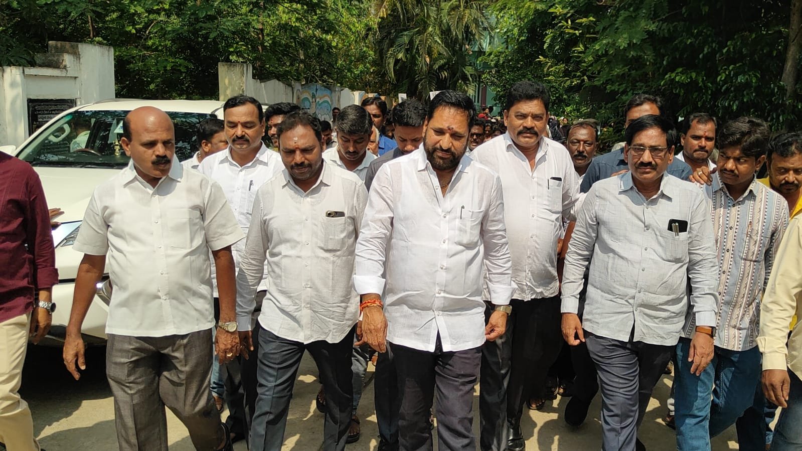MLA