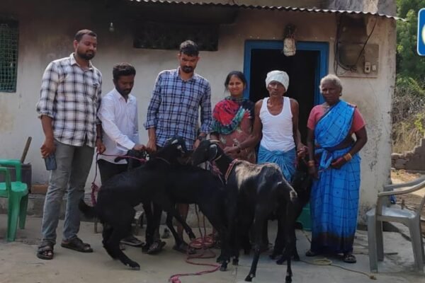 అప్పుల బాధతో పురుగుల మందు తాగి కౌలు రైతు మృతి. Farmer