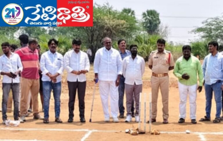 Cricket Tournament