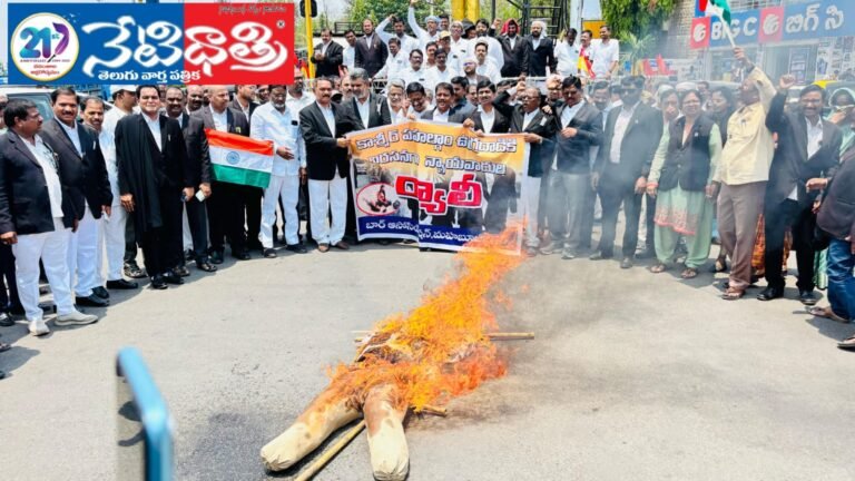 lawyers' rally