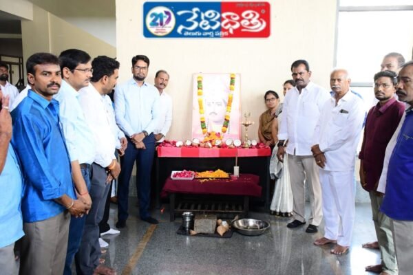 Collector MLA