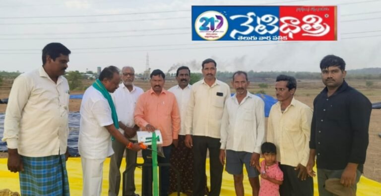 MLA