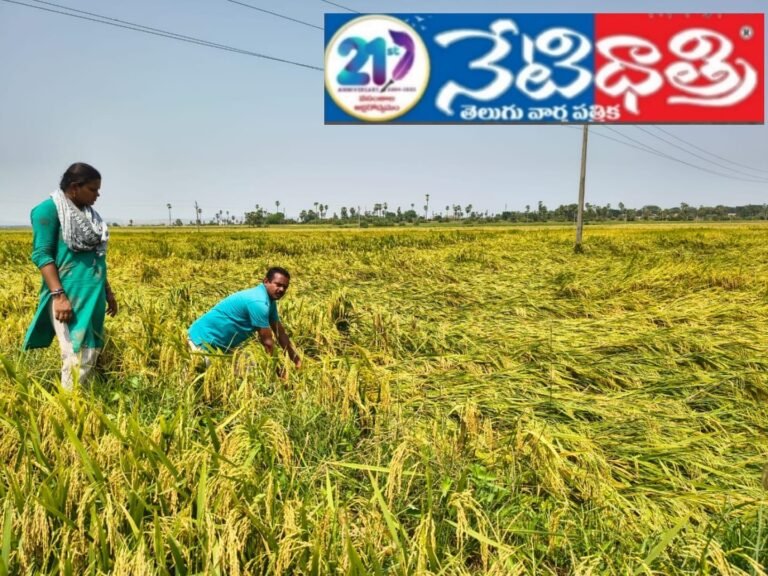 Tenant farmers.