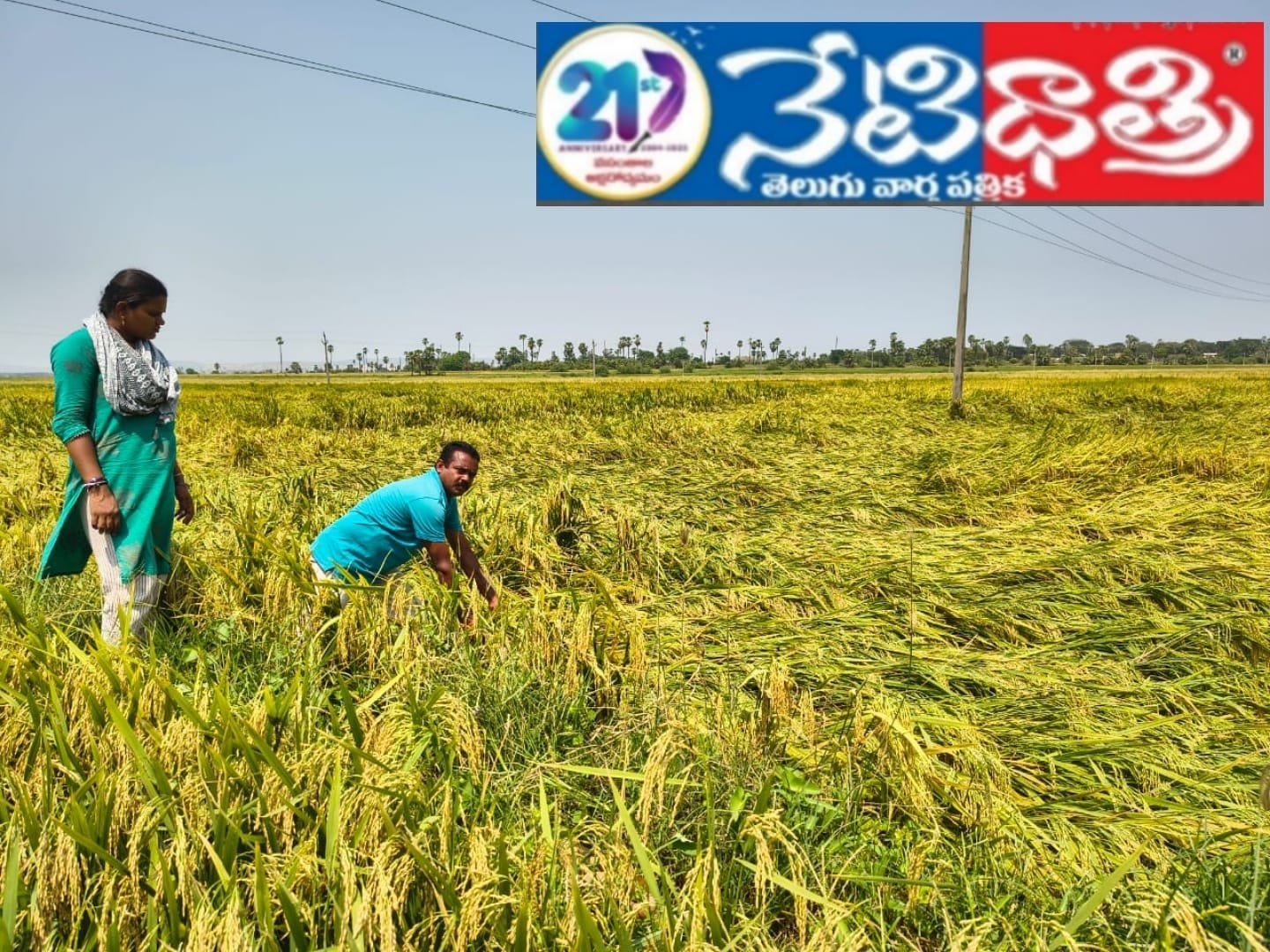 Tenant farmers.