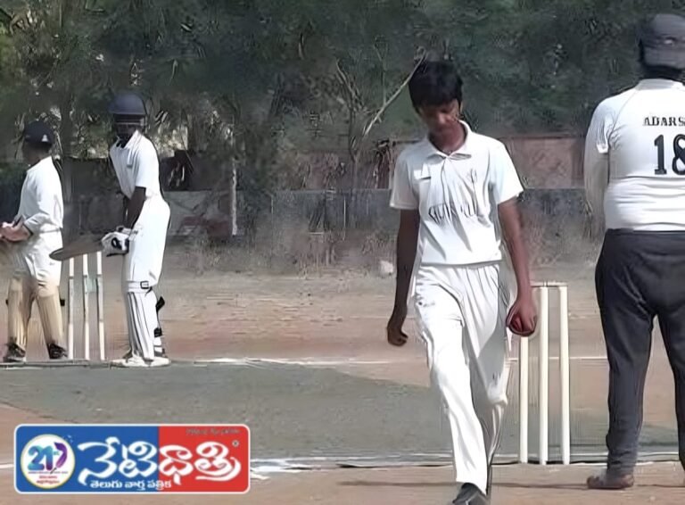 Free cricket summer camp