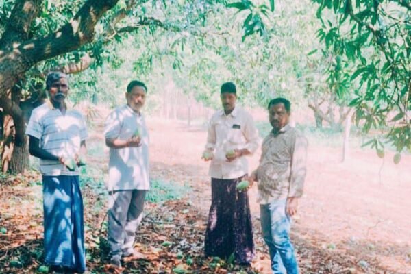 Farmers