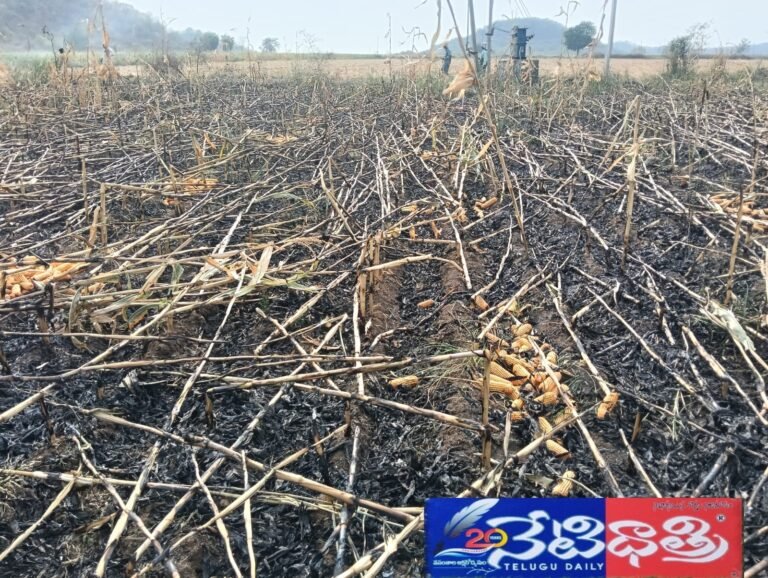 Fire accident