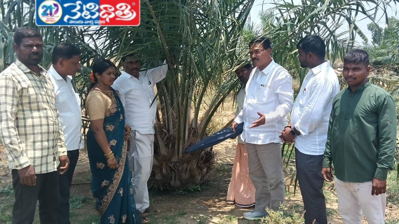 రైతులు తక్కువ పెట్టుబడితో  లాభాలు పొందవచ్చు.!