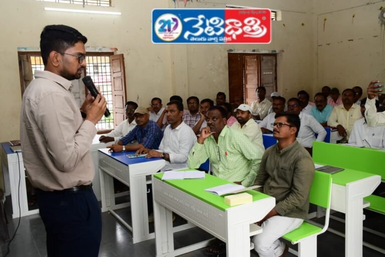 Teachers