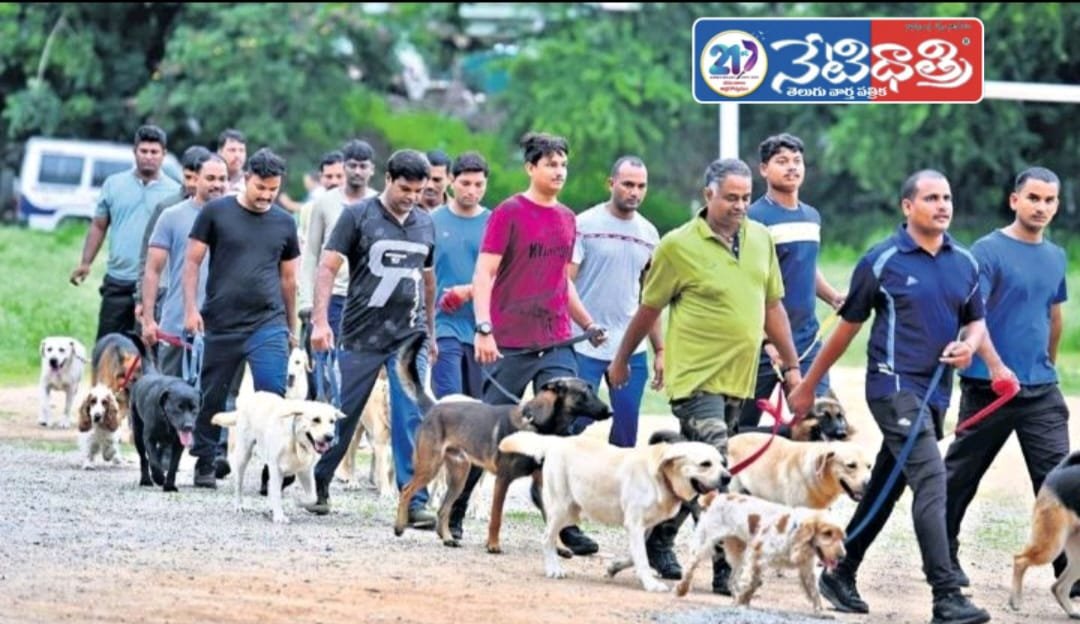 Police Dog squad teams